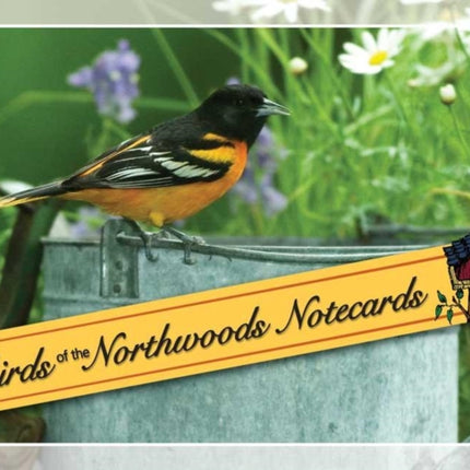 Birds of the Northwoods Notecards