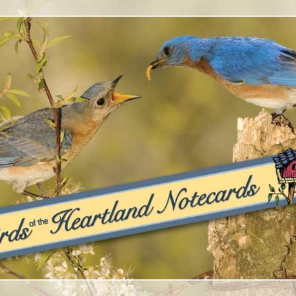 Birds of the Heartland Notecards