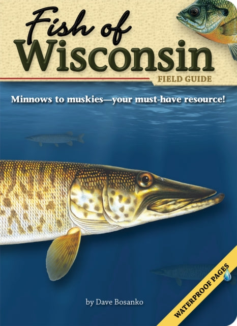 Fish of Wisconsin Field Guide