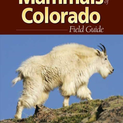 Mammals of Colorado Field Guide