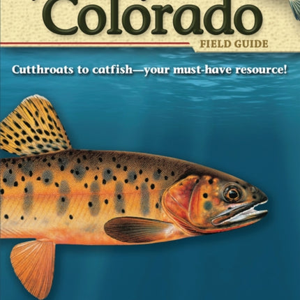 Fish of Colorado Field Guide