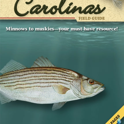 Freshwater Fish of the Carolinas Field Guide