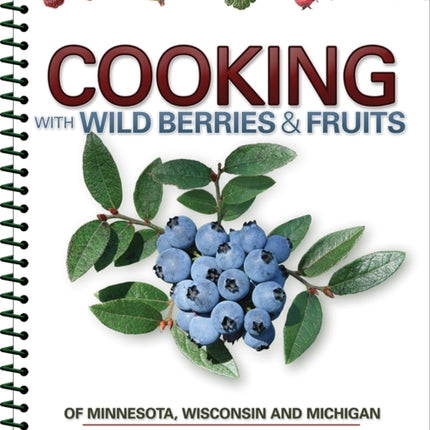 Cooking Wild Berries Fruits of MN, WI, MI