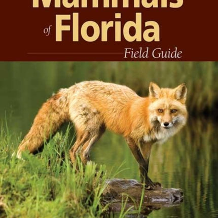 Mammals of Florida Field Guide