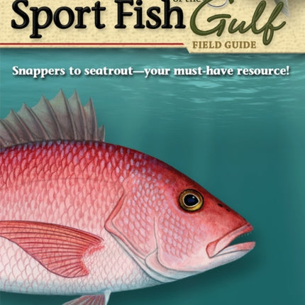 Saltwater Sport Fish of the Gulf Field Guide