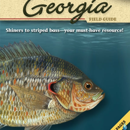 Freshwater Fish of Georgia Field Guide