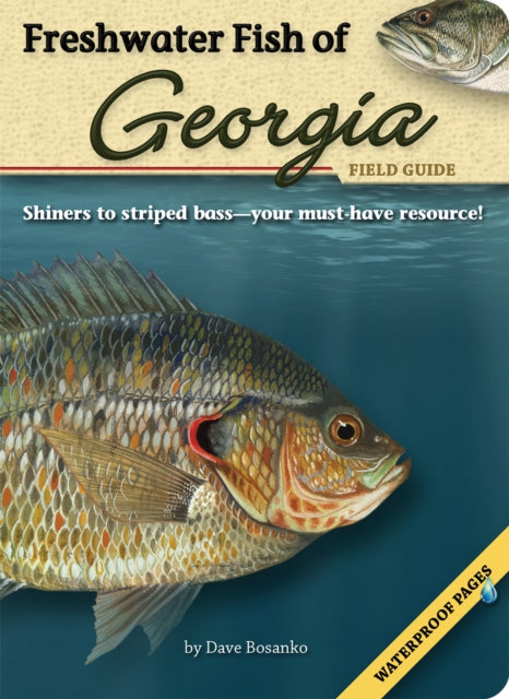 Freshwater Fish of Georgia Field Guide