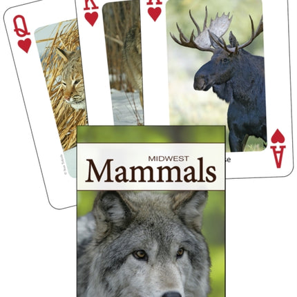 Mammals of the Midwest Playing Cards