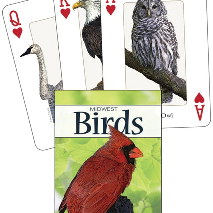 Birds of the Midwest Playing Cards