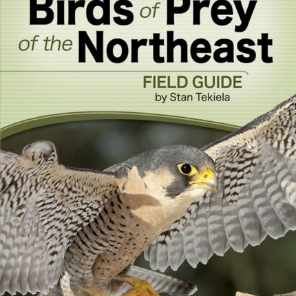 Birds of Prey of the Northeast Field Guide