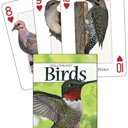 Birds of the Southeast Playing Cards