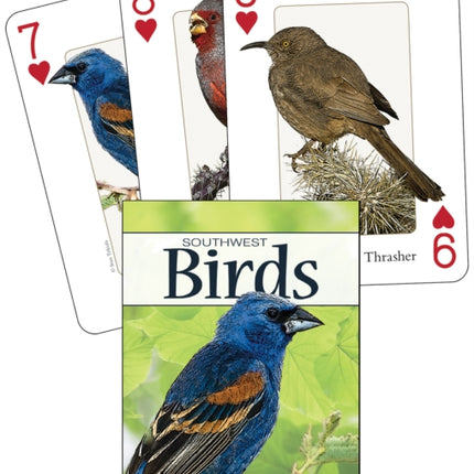 Birds of the Southwest Playing Cards