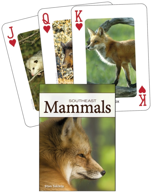 Mammals of the Southeast Playing Cards