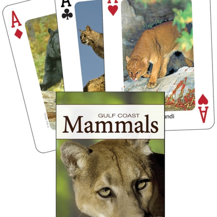 Mammals of the Gulf Coast Playing Cards