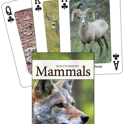 Mammals of the Southwest Playing Cards
