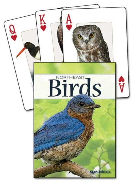 Birds of the Northeast Playing Cards