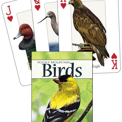 Birds of the Rocky Mountains Playing Cards