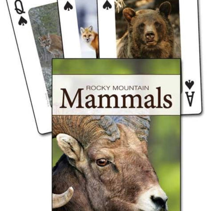 Mammals of the Rocky Mountains Playing Cards
