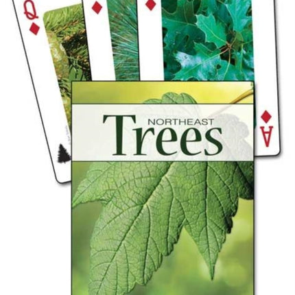 Trees of the Northeast Playing Cards