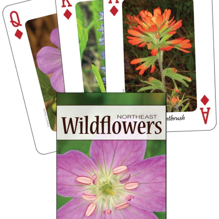 Wildflowers of the Northeast Playing Cards