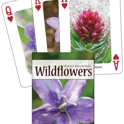 Wildflowers of the Rocky Mountains Playing Cards