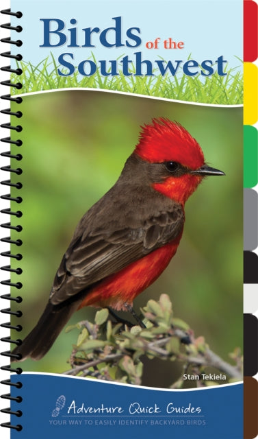 Birds of the Southwest: Your Way to Easily Identify Backyard Birds