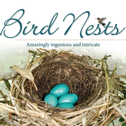 Bird Nests: Amazingly Ingenious and Intricate