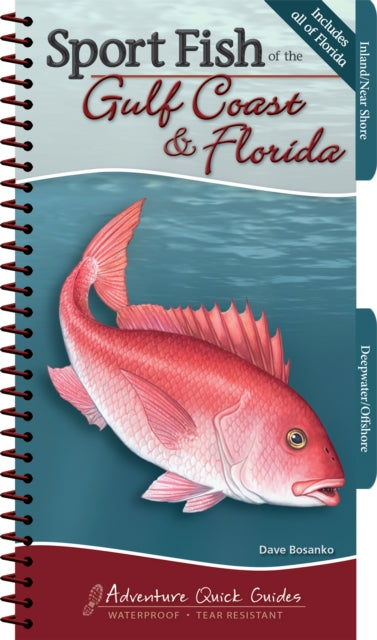 Sport Fish of the Gulf Coast & Florida: Your Way to Easily Identify Sport Fish