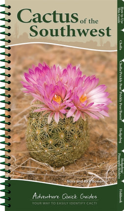 Cactus of the Southwest: Your Way to Easily