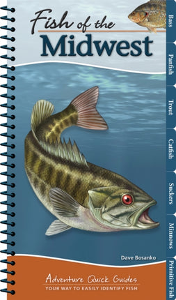 Fish of the Midwest: Your Way to Easily Identify