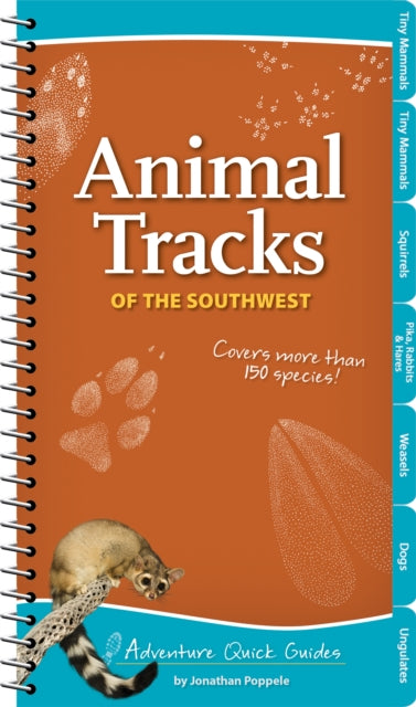 Animal Tracks of the Southwest: Your Way to Easily Identify Animal Tracks