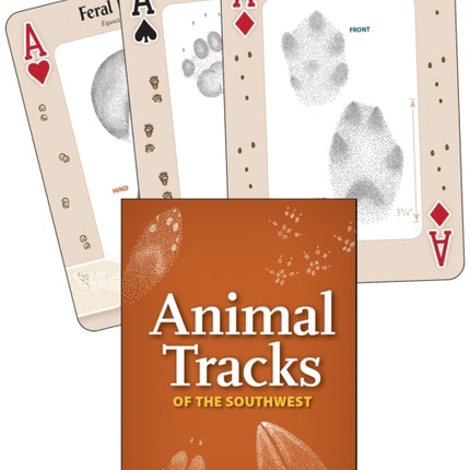 Animal Tracks of the Southwest: Your Way to Easily Identify Animal Tracks