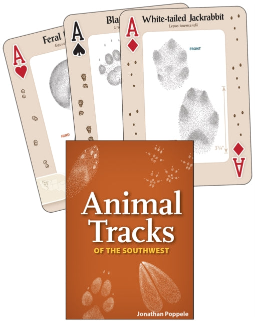 Animal Tracks of the Southwest: Your Way to Easily Identify Animal Tracks