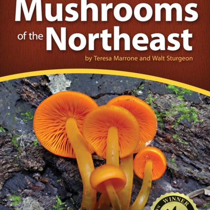 Mushrooms of the Northeast: A Simple Guide to Common Mushrooms