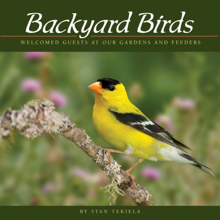 Backyard Birds: Welcomed Guests at Our Gardens and Feeders