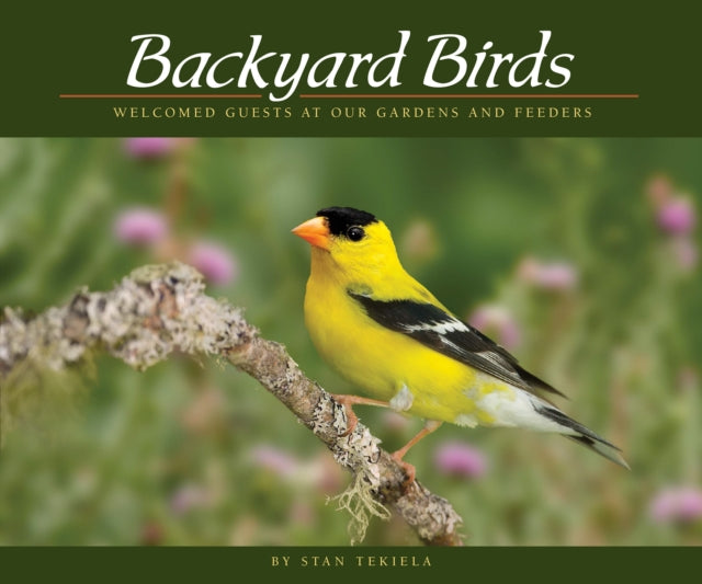 Backyard Birds: Welcomed Guests at Our Gardens and Feeders