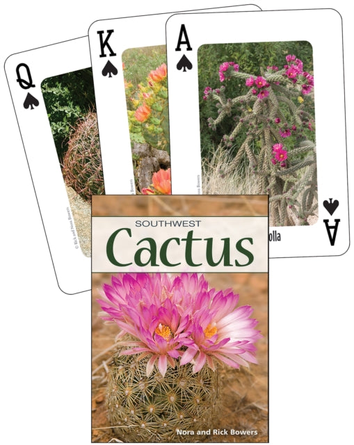 Cactus of the Southwest: Your Way to Easily Identify Cacti