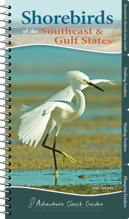 Shorebirds of the Southeast & Gulf States: Your Way to Easily Identify Shorebirds