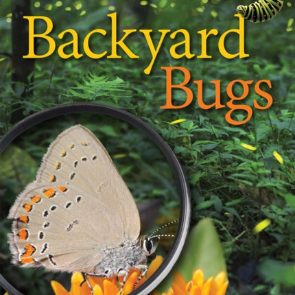 Backyard Bugs: An Identification Guide to Common Insects, Spiders, and More