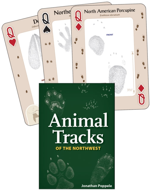 Animal Tracks of the Northwest: Your Way to Easily Identify Animal Tracks