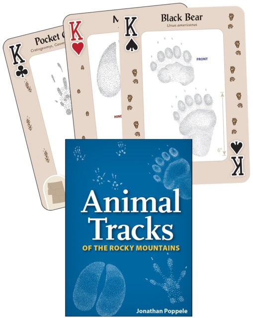 Animal Tracks of the Rocky Mountains: Your Way to Easily Identify Animal Tracks