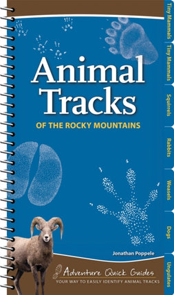 Animal Tracks of the Rocky Mountains: Your Way to Easily Identify Animal Tracks