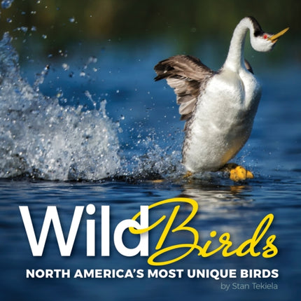 Wild Birds: North America's Most Unique Birds