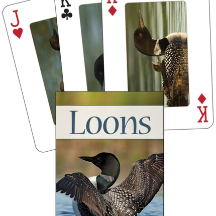 Loons Playing Cards