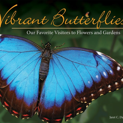 Vibrant Butterflies: Our Favorite Visitors to Flowers and Gardens