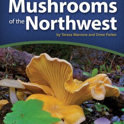 Mushrooms of the Northwest: A Simple Guide to Common Mushrooms