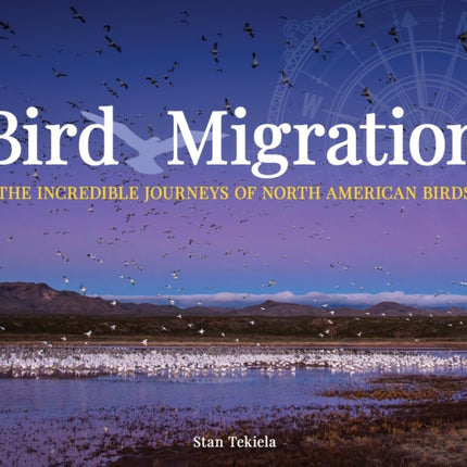 Bird Migration: The Incredible Journeys of North American Birds