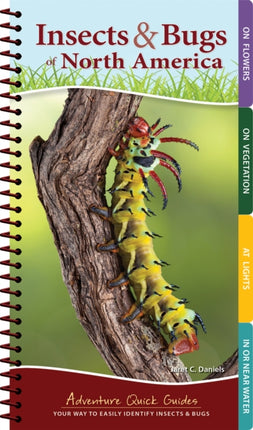 Insects & Bugs of North America: Your Way to Easily Identify Insects & Bugs