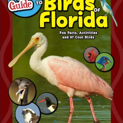 The Kids' Guide to Birds of Florida: Fun Facts, Activities and 87 Cool Birds