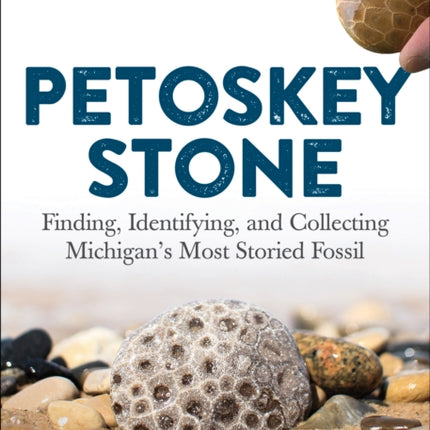 Petoskey Stone: Finding, Identifying, and